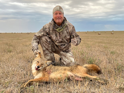South Dakota Coyote Hunting