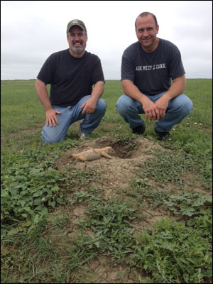 South Dakota Prairie Dog Hunting