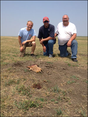 South Dakota Prairie Dog Hunting