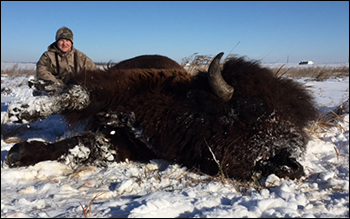 South Dakota bison (buffalo) hunting