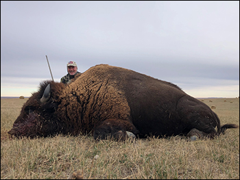 Buffalo Hunting, Bison Hunting in South Dakota