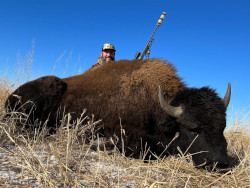 Buffalo Hunting - Andy