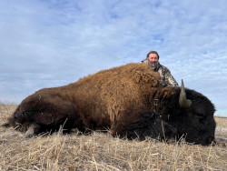 Another Trophy Buffalo Hunt in South Dakota