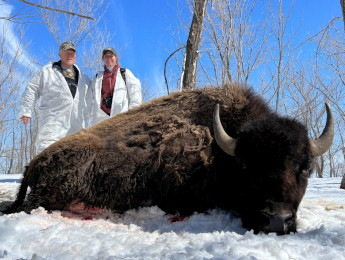 Bison Hunting Trip in South Dakota
