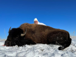 Bison Hunting - Terry