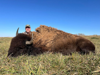 Bison Meat Hunting