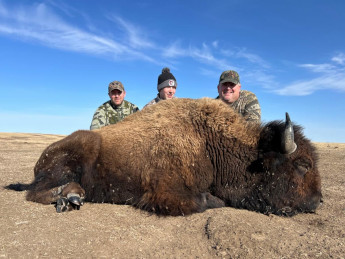 Buffalo Hunting in South Dakota