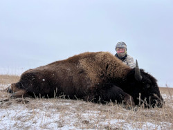 Cold Wind Chill Buffalo Hunt in South Dakota