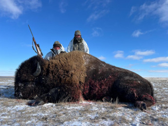 Freezing Cold Buffalo Hunt