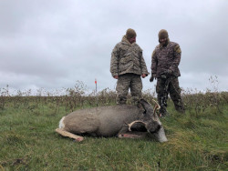 Deer Archery Hunting - South Dakota