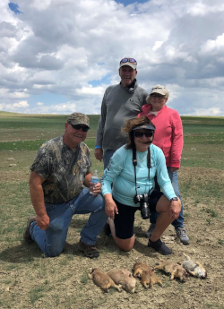 can you shoot prairie dogs in montana