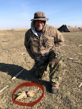 Coyote, Prairie Dog Hunting | South Dakota Hunting Guide, Outfitter