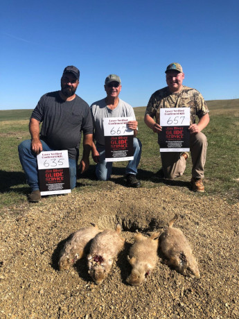 Prairie Dog Shooting