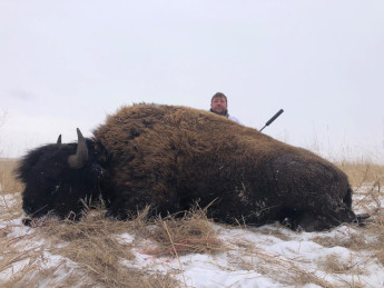 Bison Hunting Trip - South Dakota
