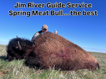 Spring Time Buffalo Hunting