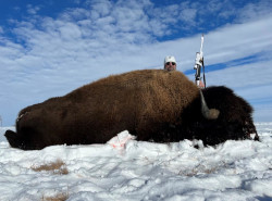 Super Trophy Buffalo Hunting - Craig