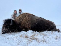 Super Trophy Buffalo Hunting - OMG