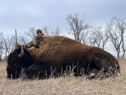 Tyler Shot This Trophy Buffalo in South Dakota