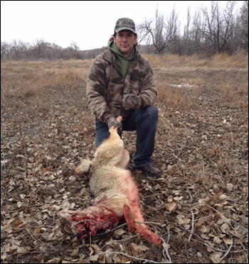 South Dakota Coyote Hunting