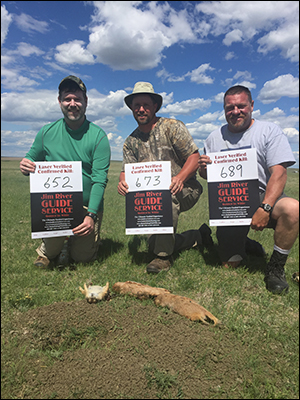 South Dakota Prairie Dog Hunting