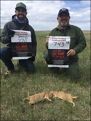 South Dakota Prairie Dog Hunting Guide | South Dakota Outfitter